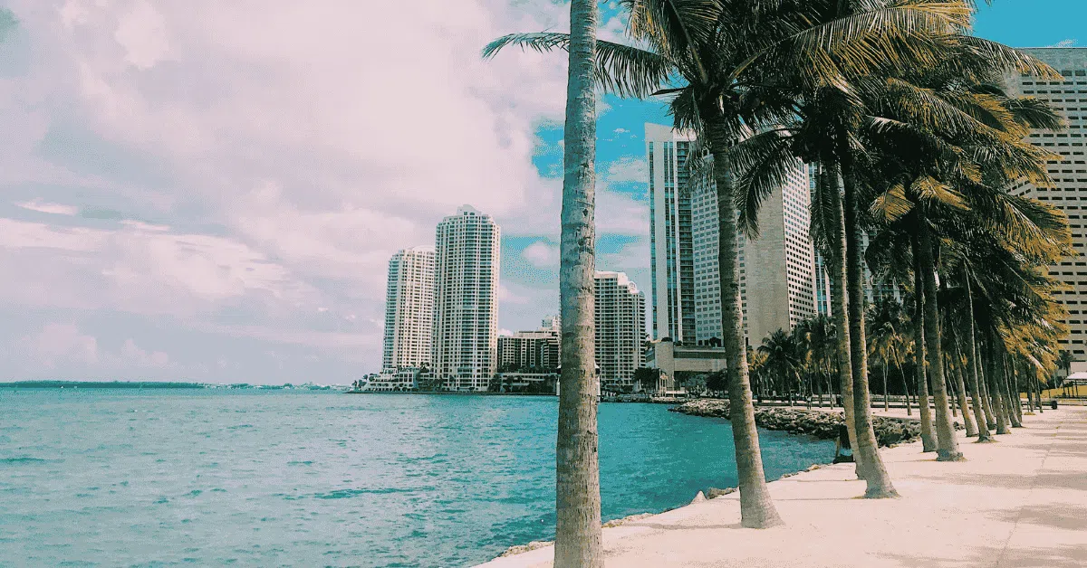 Best Things to Do in Miami