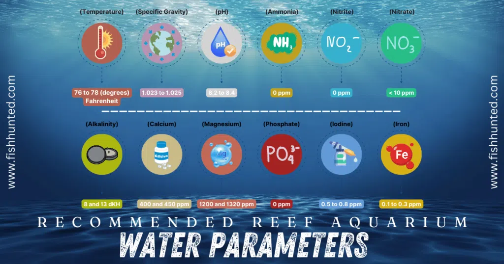 Recommended Reef Aquarium Water Parameters