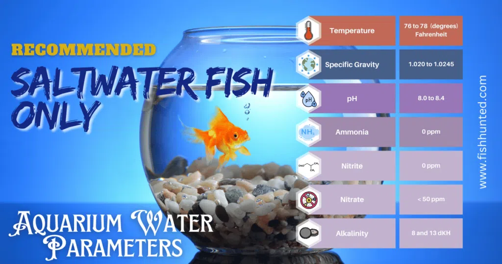 Recommended Saltwater Fish Only Aquarium Water Parameters