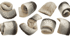 Is Fish Considered as Meat is fish skin healthy