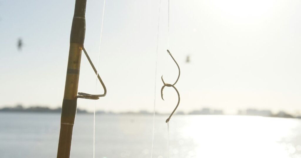 Pick up the Right Fishing Hook for Beginner Anglers how to attach hooks to nylon