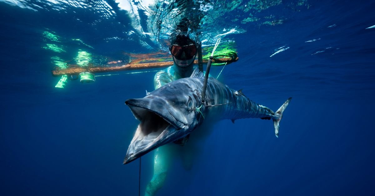 wahoo fish catch a man in ocean