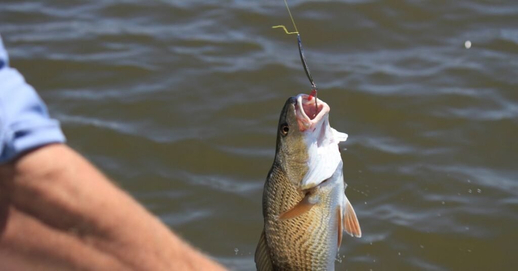 fishing hook