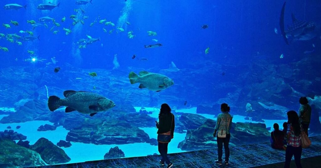 Day Trips from Atlanta Adventure and Outdoor Fishing Spots